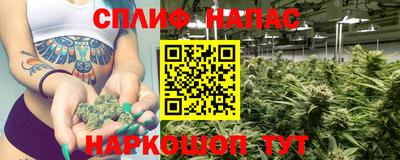 амф Донской