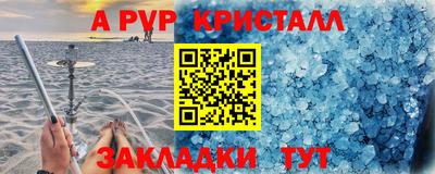 амф Донской