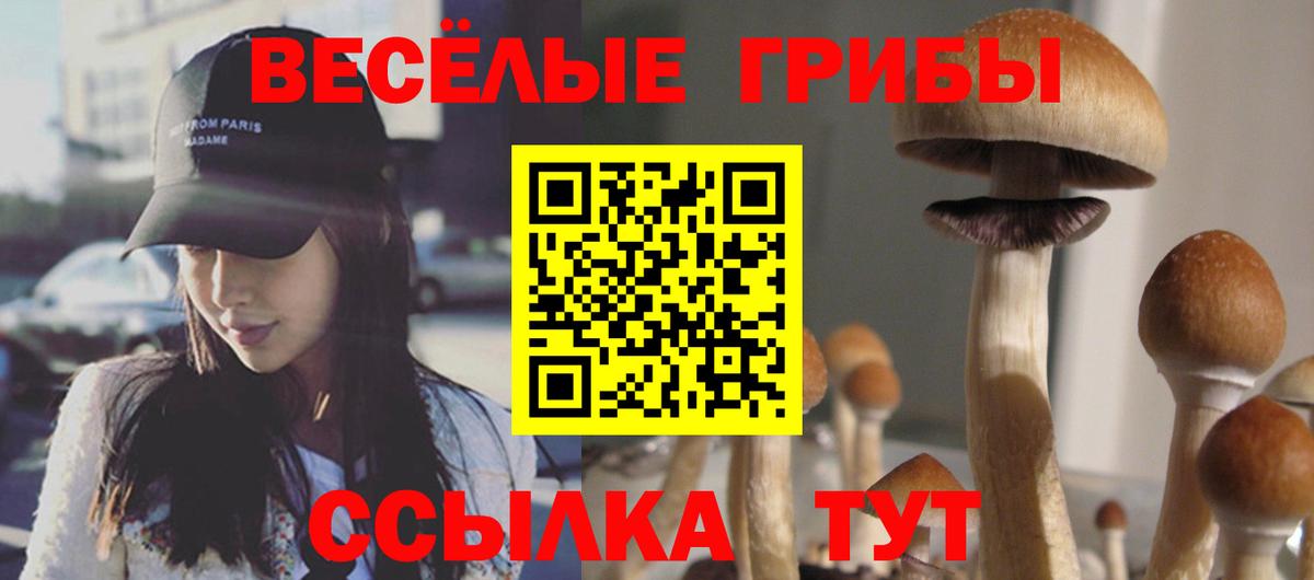Псилоцибиновые грибы мицелий  Вход с VPN  Арсеньев 